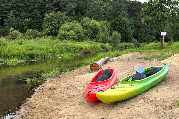 Pole biwakowe nad Nidą